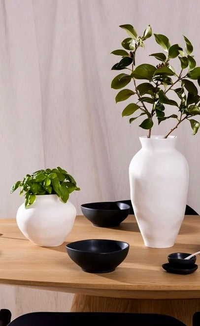 Venus Vase | Large