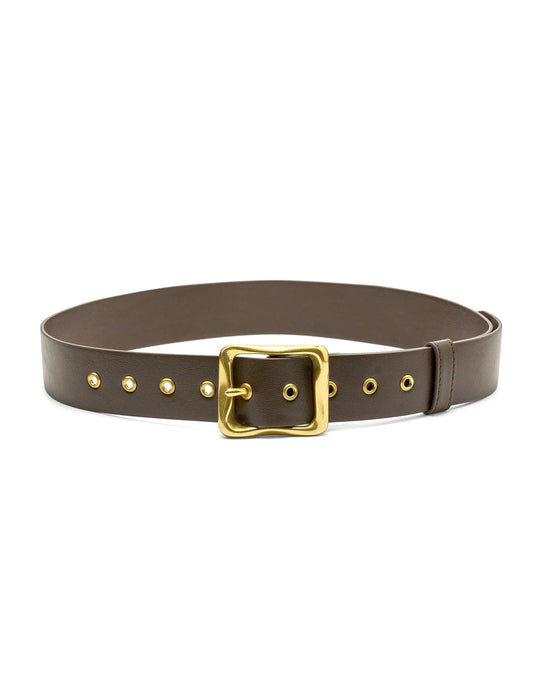 Everyday Belt |  Chocolate & Gold