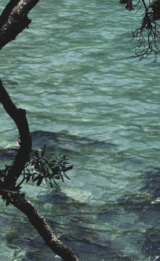 Scarf - Coromandel Moments