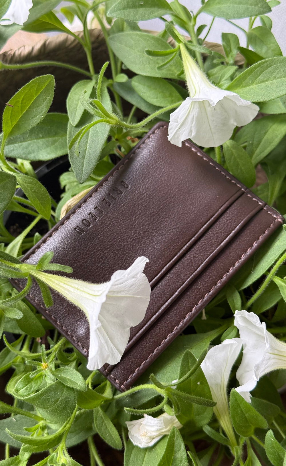 Andie Zip Card Sleeve Chocolate