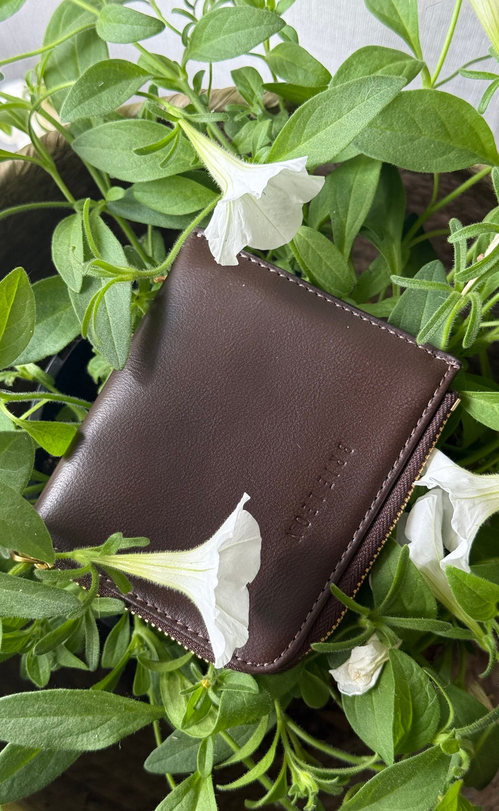 Andie Zip Around Wallet Chocolate