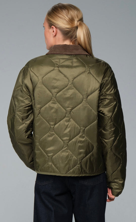 Coast Liner Jacket Green