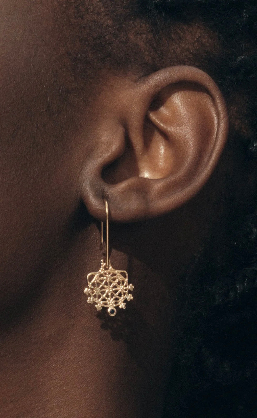 Arinna Earrings Gold